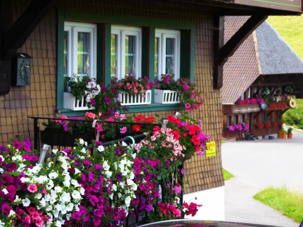Апартаменти Schwarzwaldhaus Kathi Тодтмос Екстер'єр фото